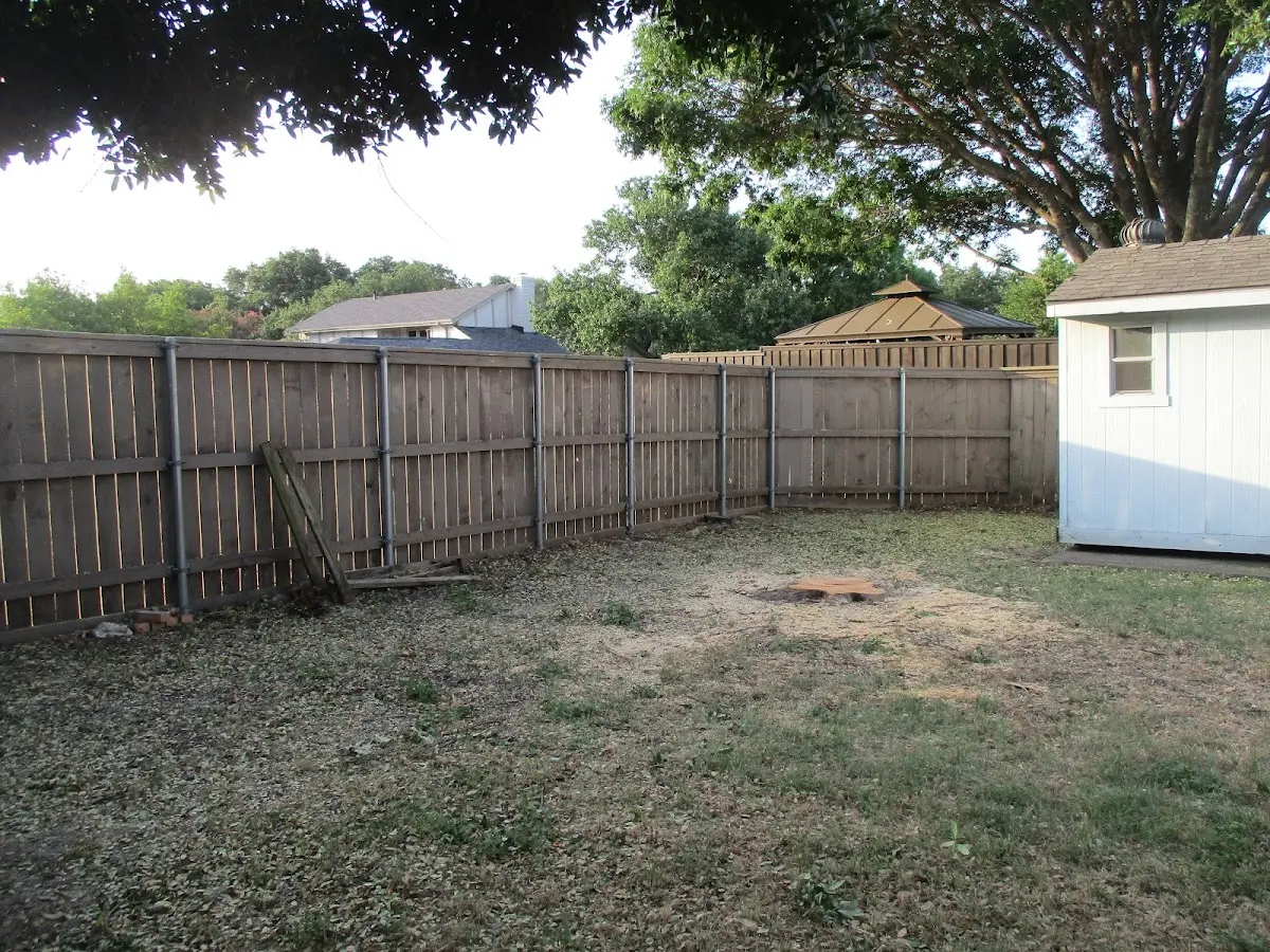 Cleared yard after professional tree removal in Bullard